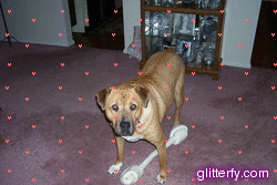 Attached Image