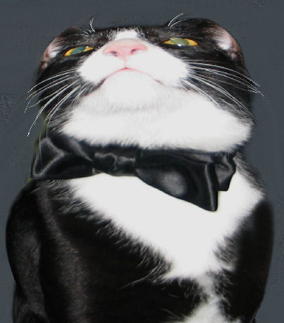 Attached Image
