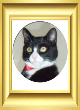 Attached Image