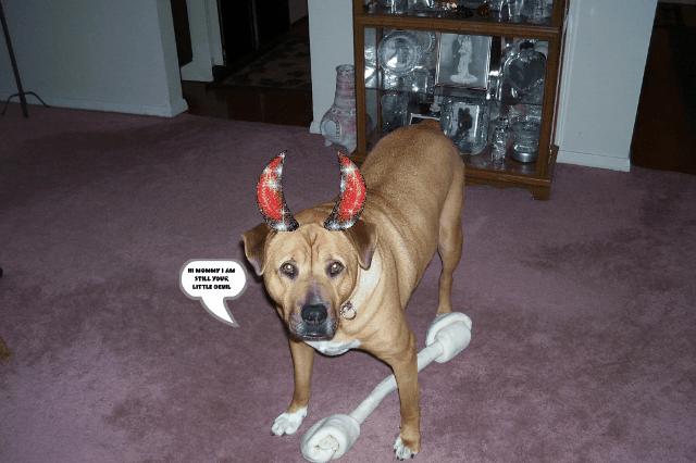 Attached Image
