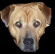 Attached Image
