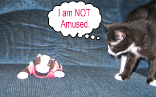 Attached Image