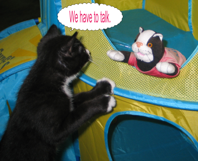 Attached Image