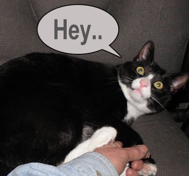Attached Image