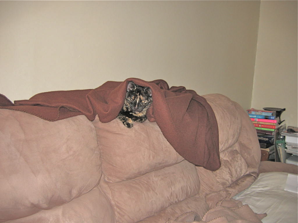 Attached Image