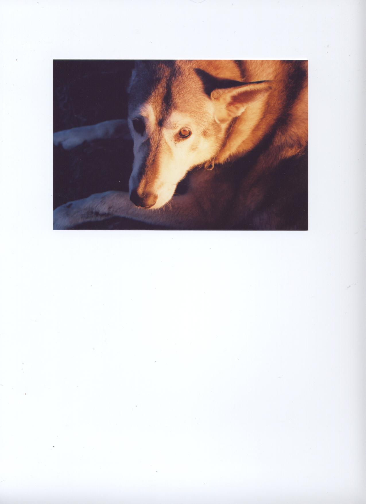 Attached Image