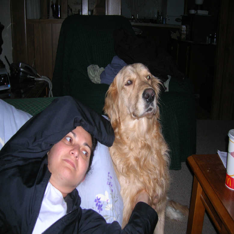 Attached Image