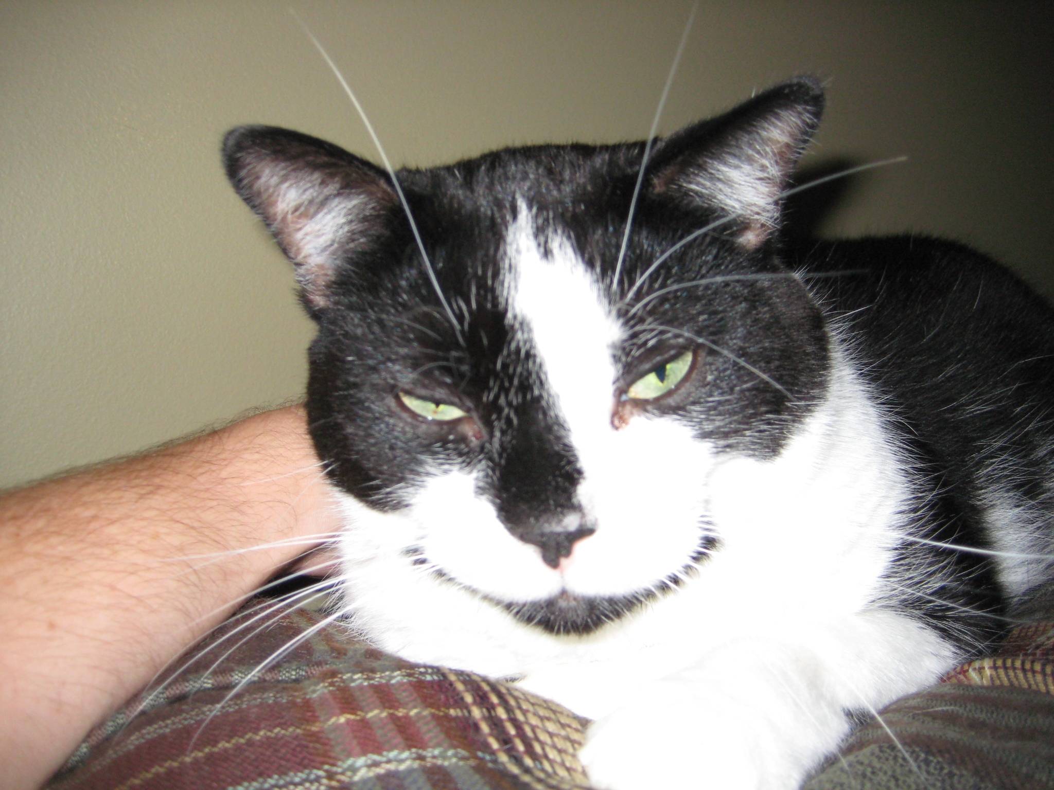 Attached Image