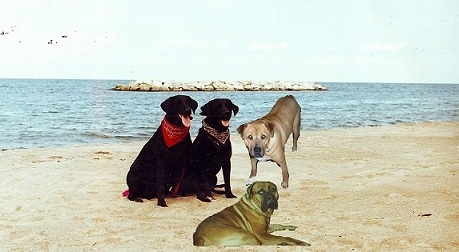 Attached Image