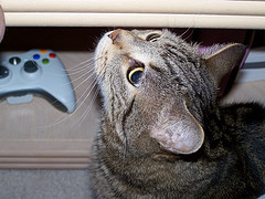 Attached Image