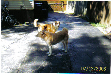 Attached Image