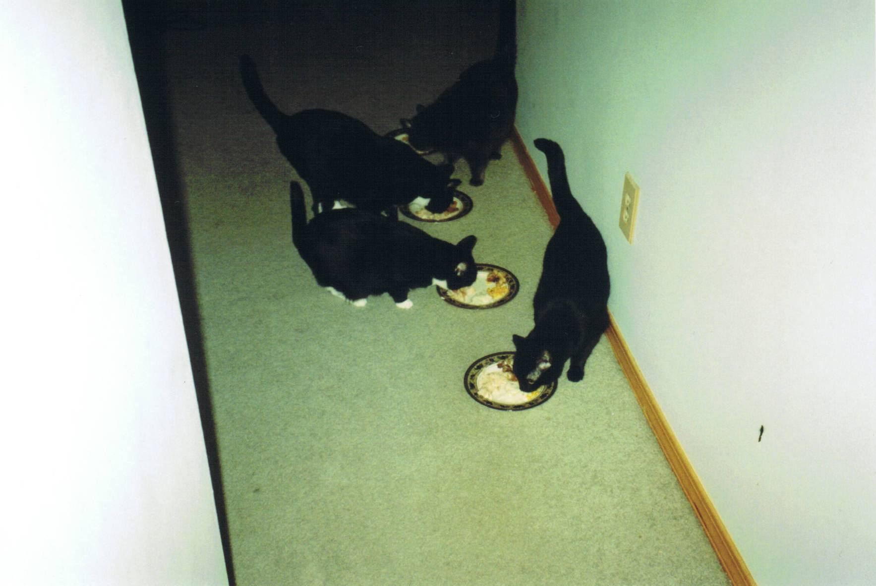 Attached Image