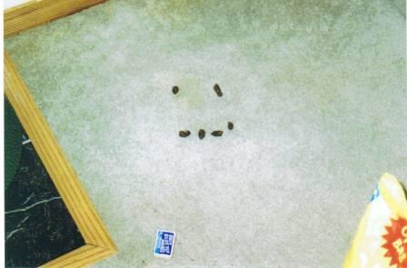 Attached Image
