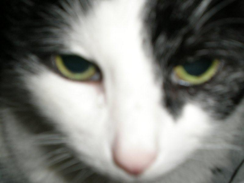 Attached Image