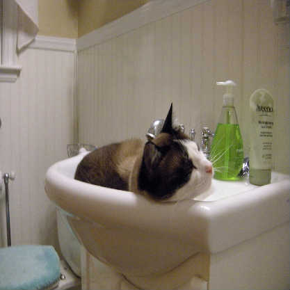 Attached Image