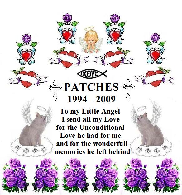 Attached Image