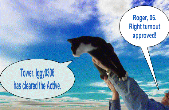 Attached Image
