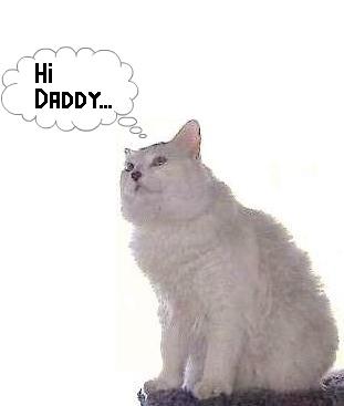 Attached Image