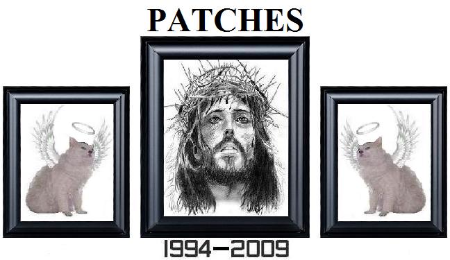 Attached Image