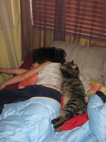 Attached Image