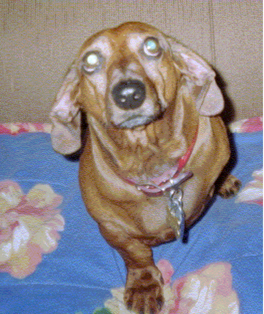 Attached Image