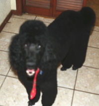 Attached Image