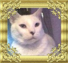 Attached Image