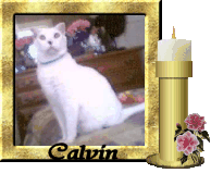 Attached Image