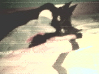 Attached Image