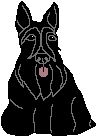 Attached Image