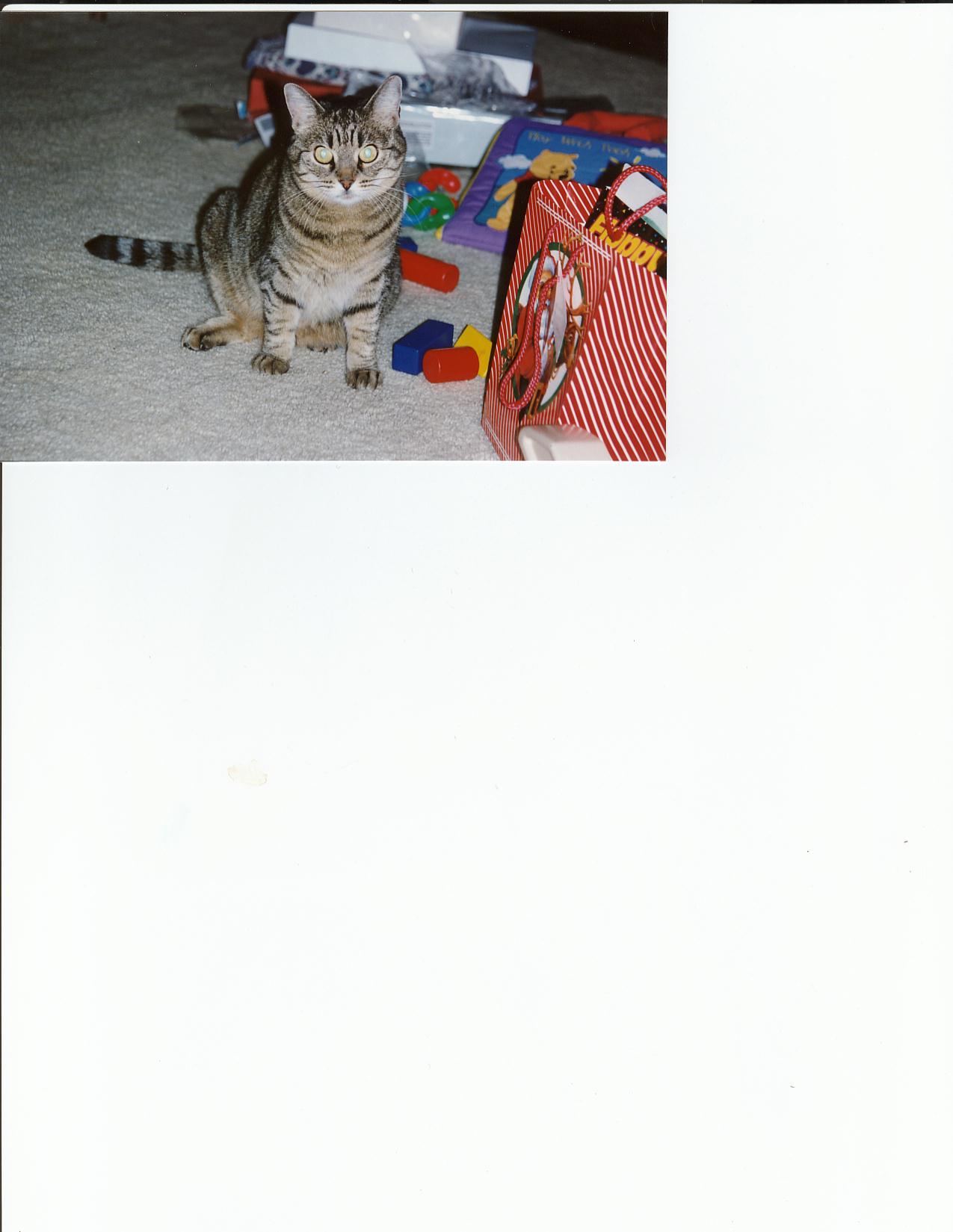 Attached Image