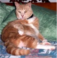 Attached Image