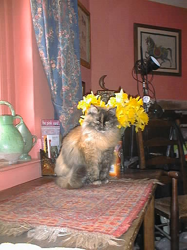 Attached Image