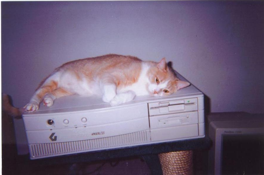 Attached Image