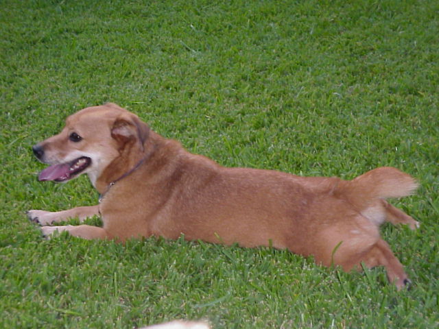 Attached Image