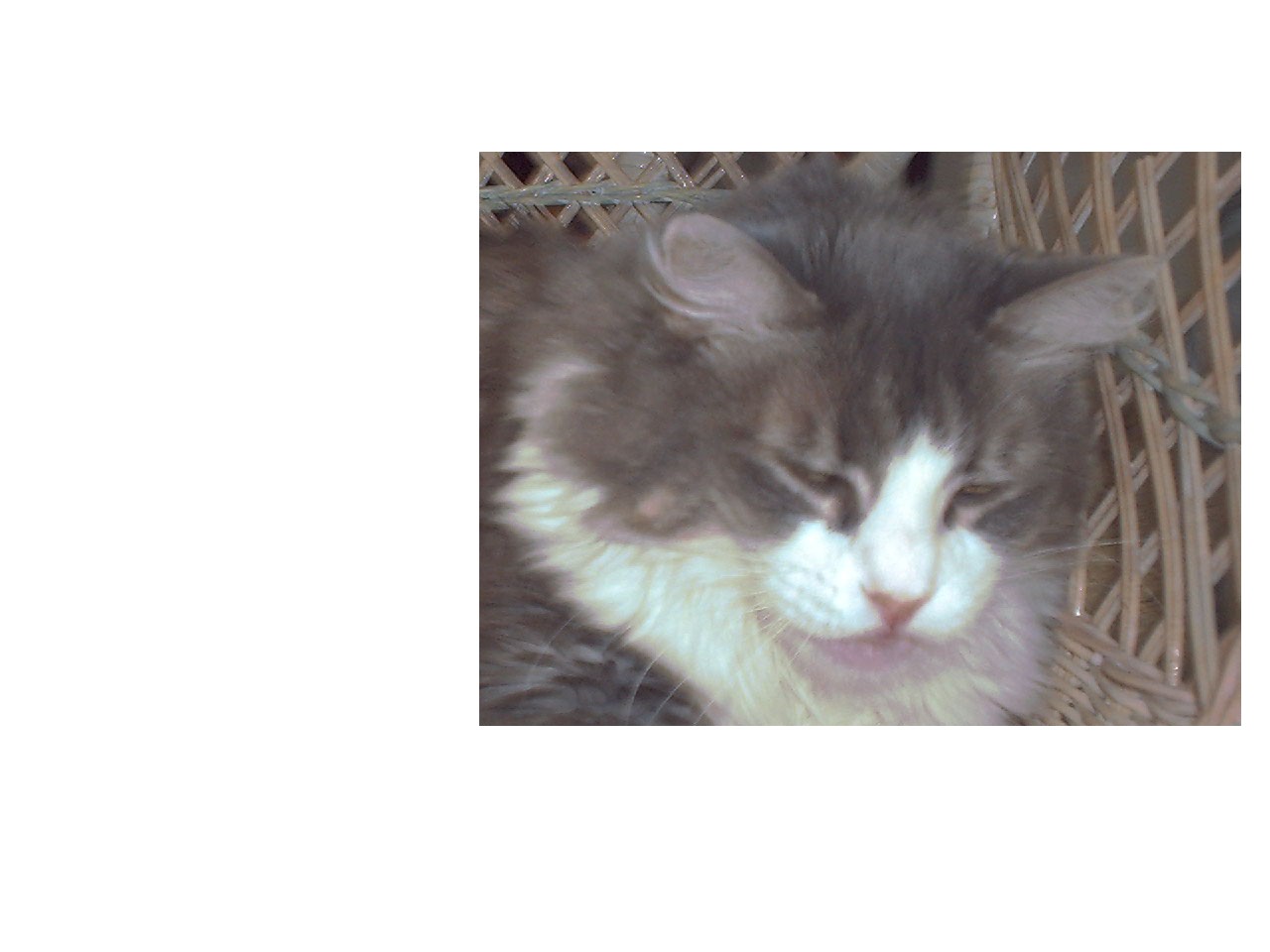 Attached Image
