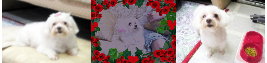 Attached Image