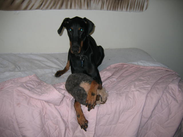 Attached Image
