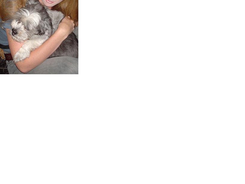 Attached Image