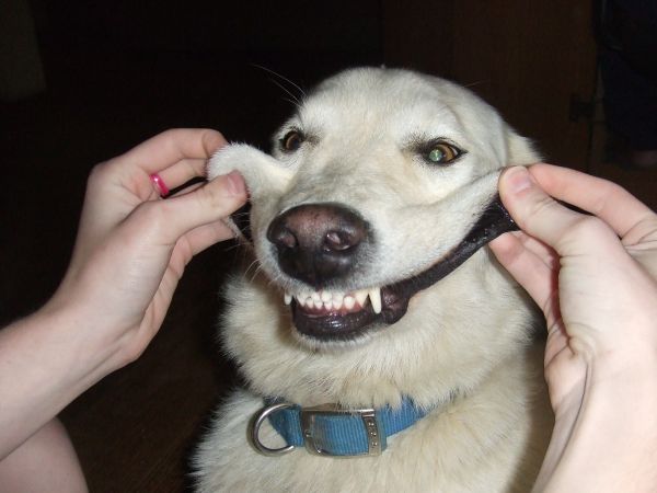 Attached Image